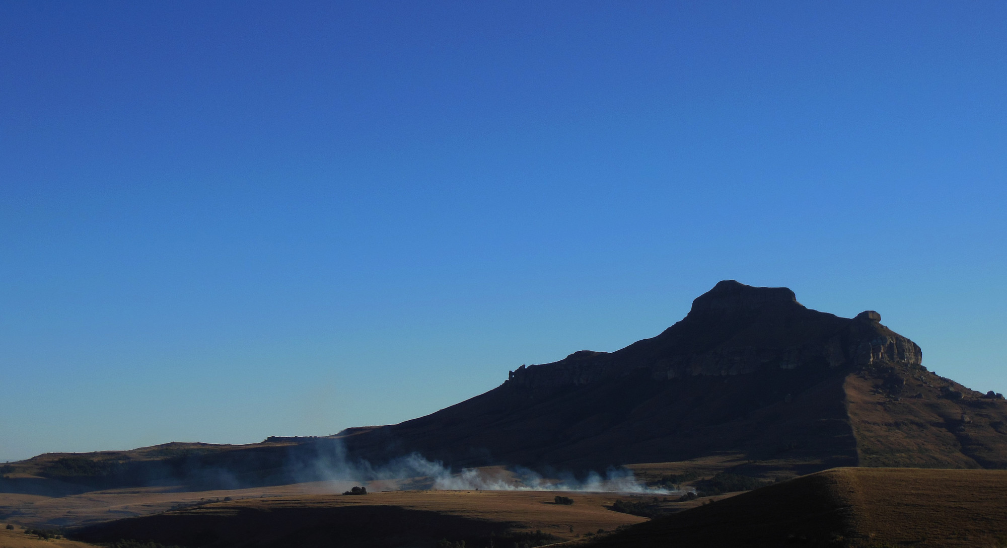 Prescribed Fire di utente cancellato