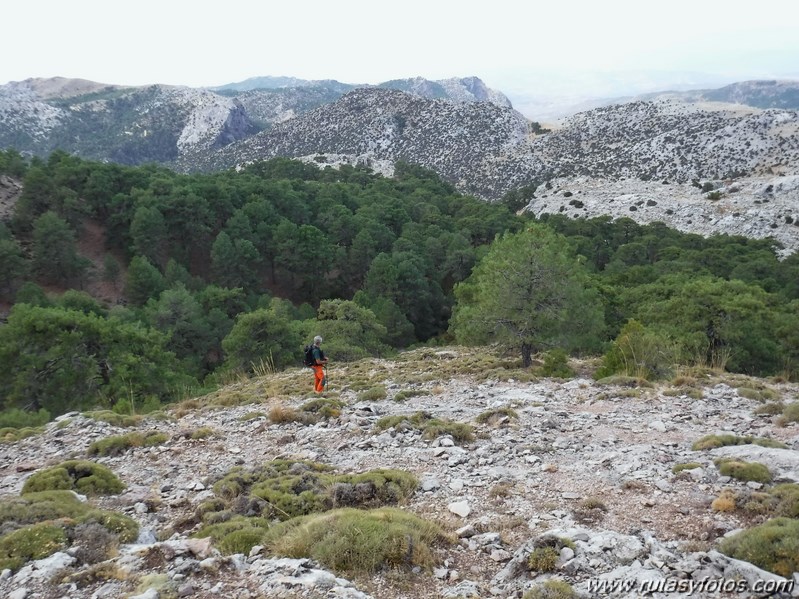 Pico Blanquillo (Sierras de Cazorla, Segura y Las Villas