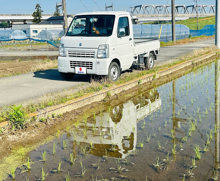 の投稿画像3枚目