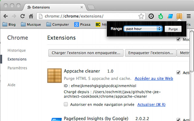 Appcache cleaner chrome extension