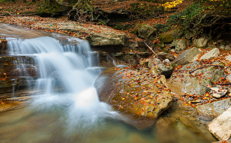 Autumn river di Lorenzo Domenichini