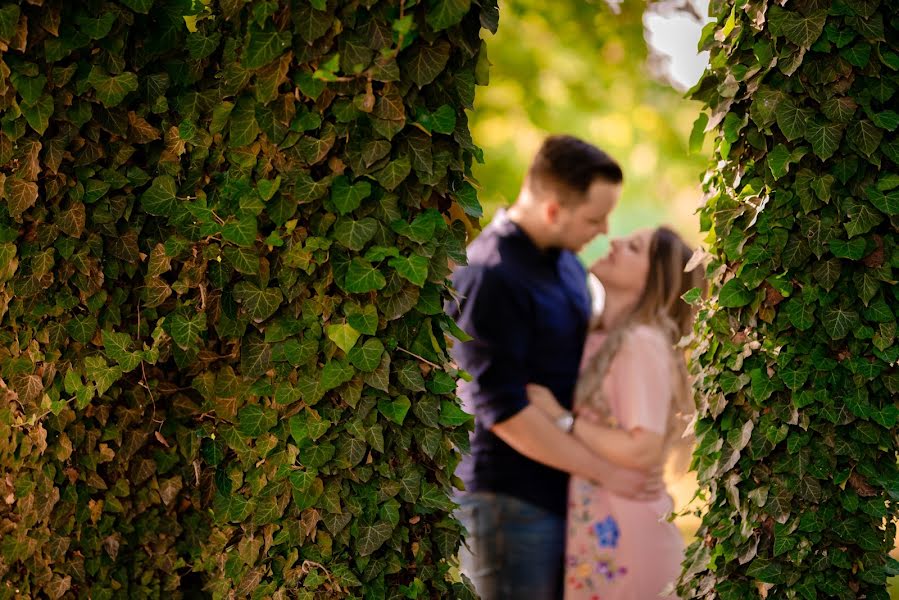 Photographe de mariage Crihan Vlad (vladcrihan). Photo du 27 janvier 2019