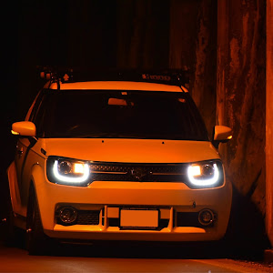 イグニス FF21S