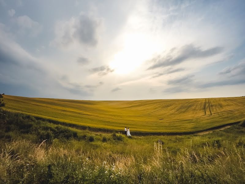 Düğün fotoğrafçısı Oleksandr Shevchuk (shinjukyo). 30 Haziran 2016 fotoları