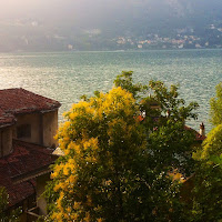 Blevio, Lago di Como di 