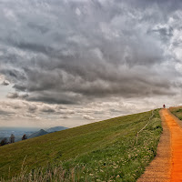 La strada dei sogni di 