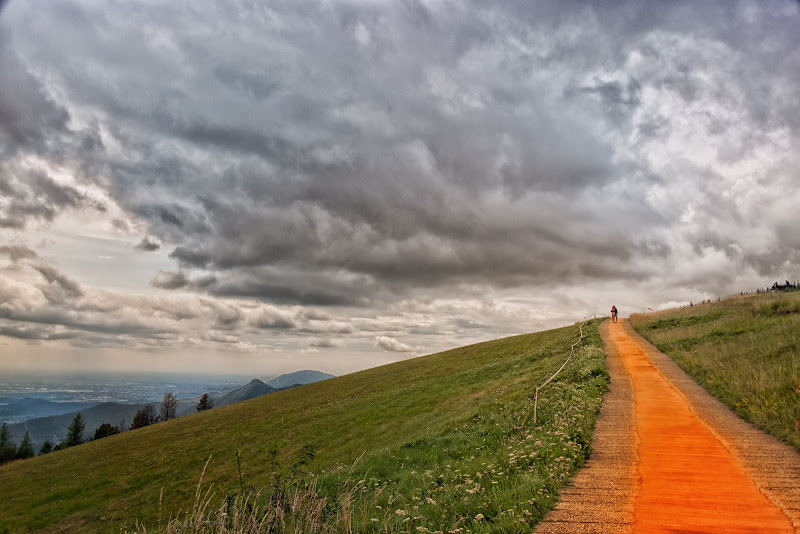 La strada dei sogni di Concetta Caracciolo