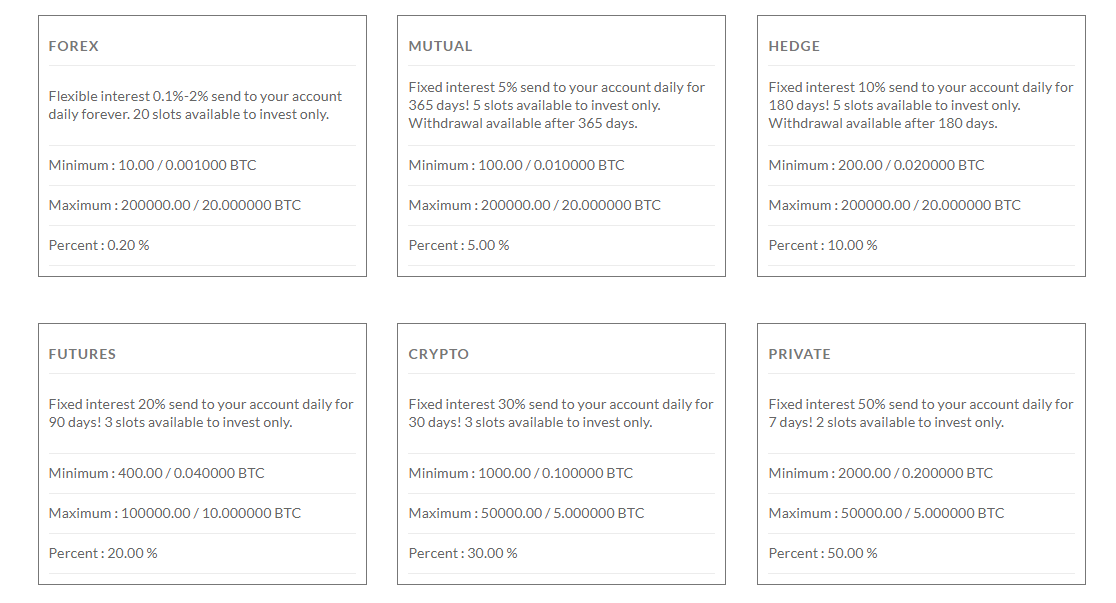 Экспертный обзор инвестиционного проекта BitWealth Company: отзывы клиентов и механизмы работы