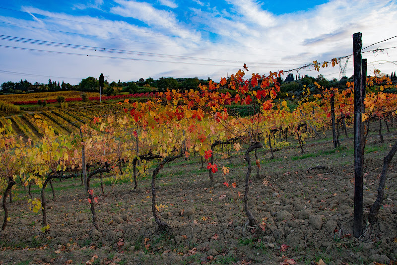 Colori di Toscana..... di pieralisa