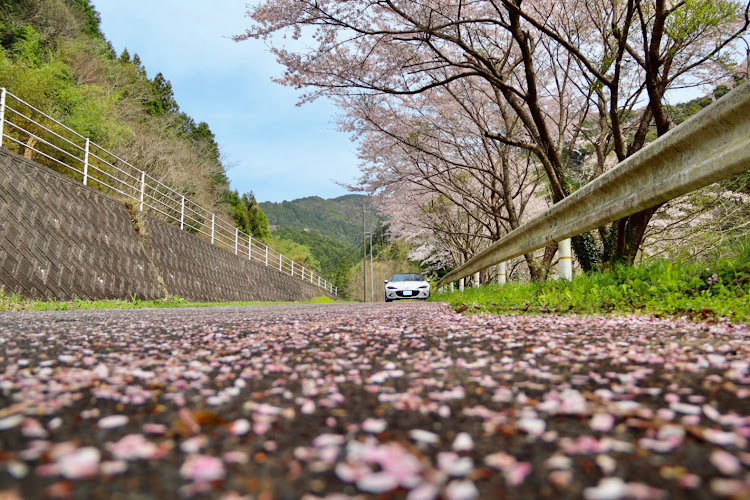 の投稿画像4枚目