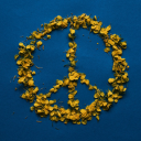 Peace symbol petals