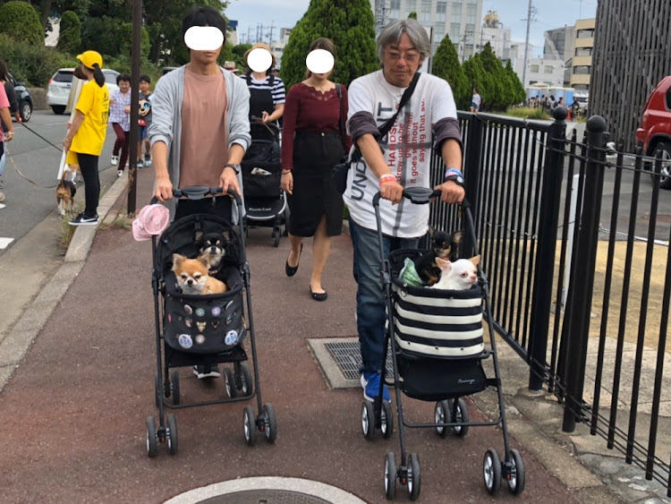 エスティマの愛犬に関するカスタム事例の投稿画像9枚目