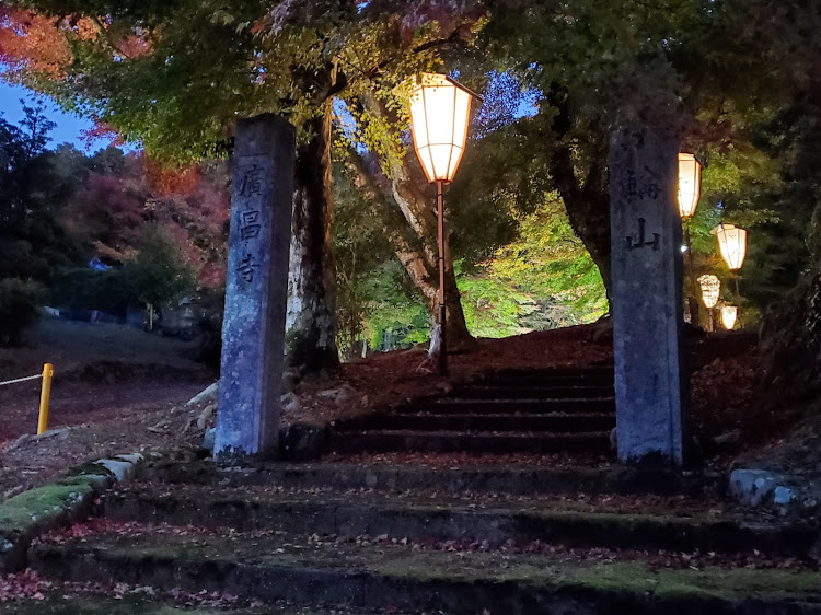 N-WGN カスタムの京都府・京丹波町・目指せPickUpCars・紅葉！・紅葉ライトアップ！・コロナに負けるなに関するカスタム事例の投稿画像8枚目
