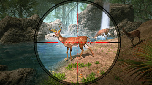 Screenshot Deer Hunting Shooting Games