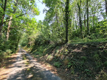 terrain à Roquecourbe (81)