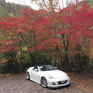 フェアレディZ HZ34