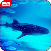 Blue Whale : Shark Hunger Sim 2018  Icon