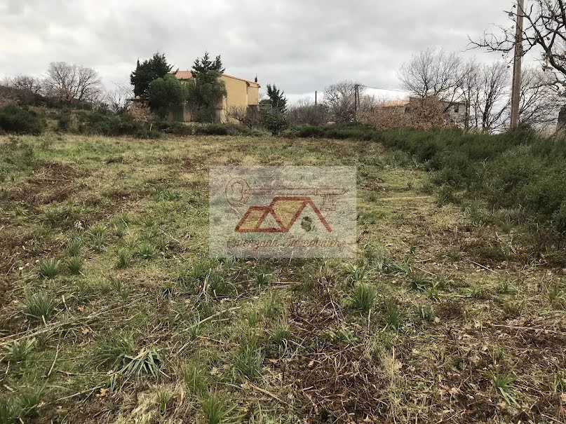 Vente terrain à batir  4700 m² à Cateri (20225), 630 000 €