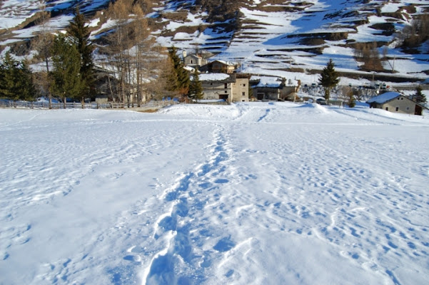 Verso casa di Caronte