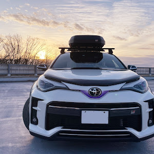 C-HR ZYX11