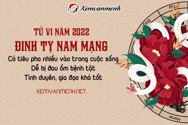 tu-vi-tuoi-dinh-ty-nam-2022-nam-mang-1977