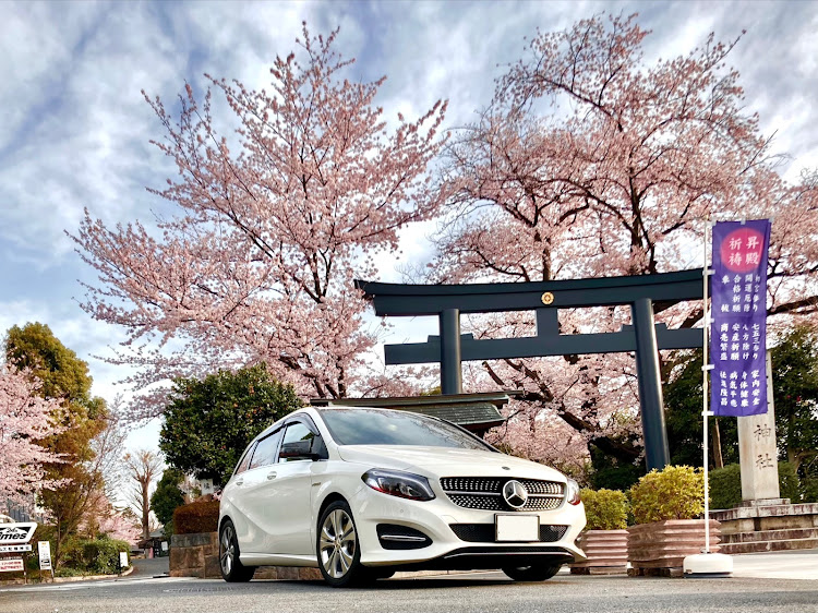 Bクラスの桜とコラボ・サクラと愛車・ワクチン3回目接種・からの副反応で轟沈・いつもいいね＆コメントありがとうございますに関するカスタム事例の投稿画像5枚目