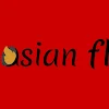 The Asian Flare By EatVerse, Krishnapur, Kolkata logo