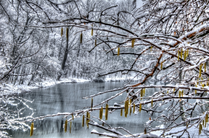 Sotto la neve di lele.r