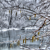 Sotto la neve di 