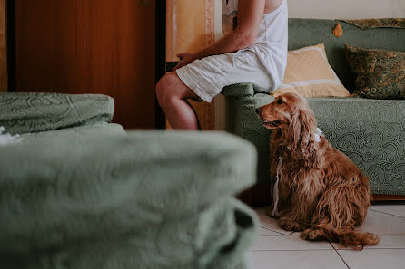 Photographe de mariage Alberto Cosenza (albertocosenza). Photo du 4 mars 2020