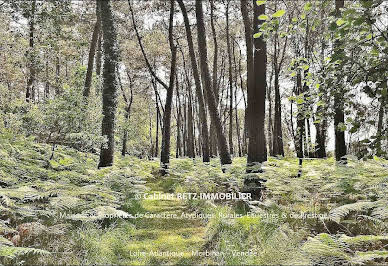 Propriété en bord de mer avec jardin 3