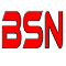 Item logo image for BSN-checker