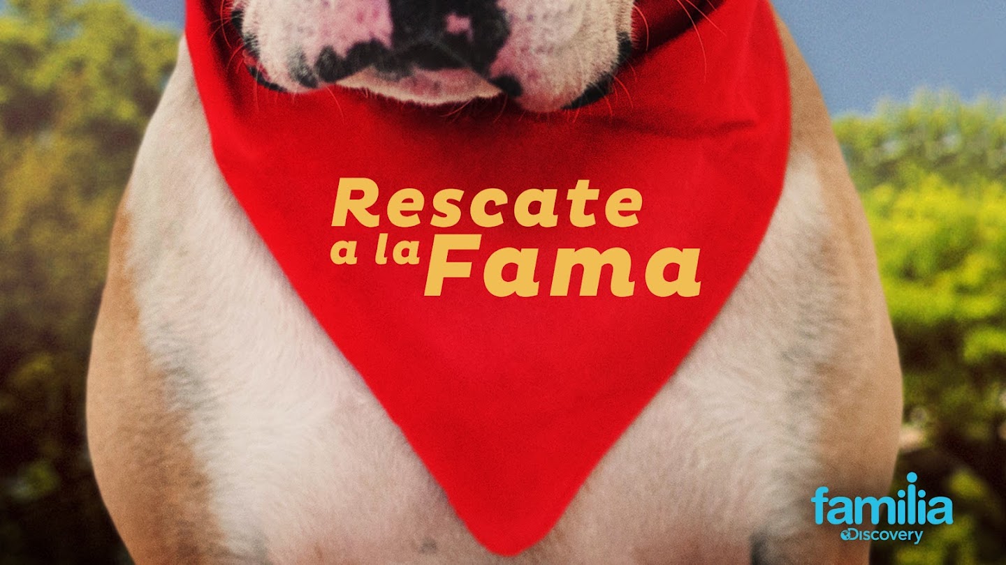 Watch Rescue Dog to Super Dog live
