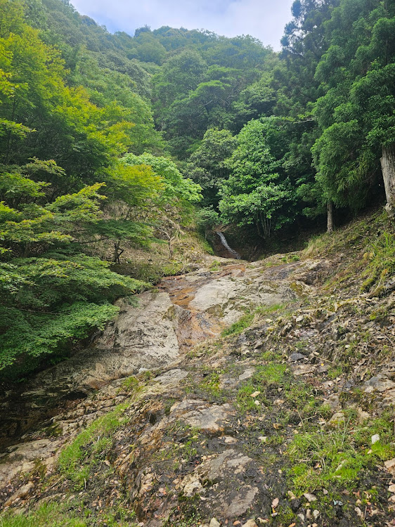 の投稿画像4枚目