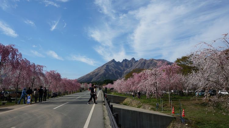 の投稿画像3枚目