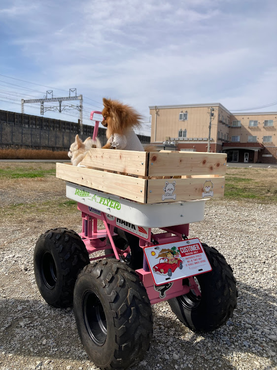 エクスプレスのラジオフライヤーカスタム・アメ車好きと繋がりたい・DIY・フロントルーフバイザーに関するカスタム事例の投稿画像5枚目