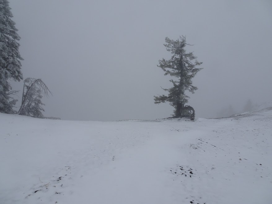 Isn't Crater Lake beautiful? - Hmmm... I don't know (but I guess it is)!