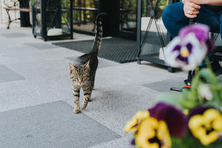 Fotografo di matrimoni Adam Molka (adammolka). Foto del 26 aprile 2018