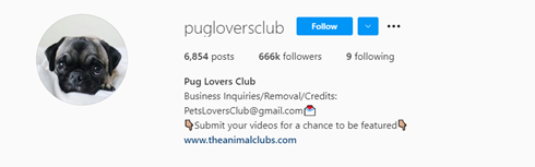 Pugloversclub instagram账号