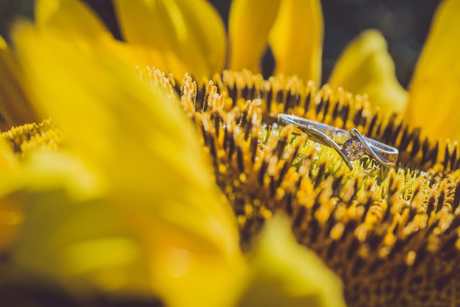 Весільний фотограф Ákos Jurás (jurasakos). Фотографія від 14 березня 2016