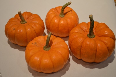 ornamental pumpkins