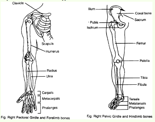 Solution Image