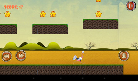 Running Birds poster 6