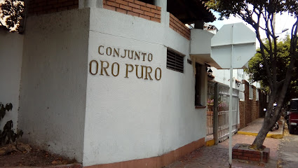 Conjunto Residencial Oro Puro