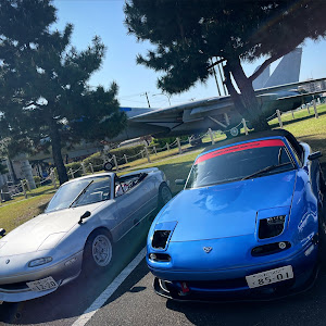 ロードスター NA8C