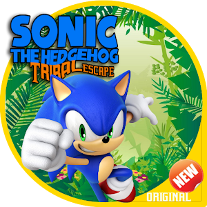 Sonic Adventure Rush Free 3D MOD