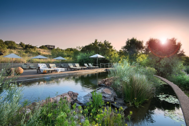 The hotel's wetland swimming pool.