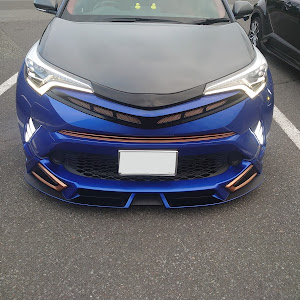 C-HR ZYX10