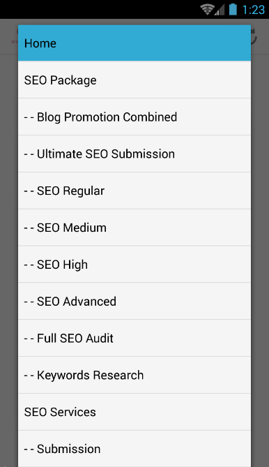 SEO Maker.Website Screen 2