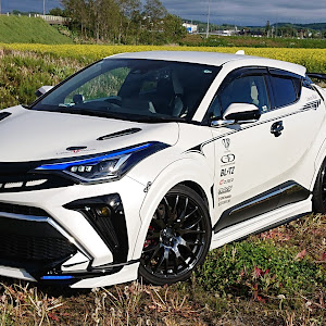 C-HR NGX50